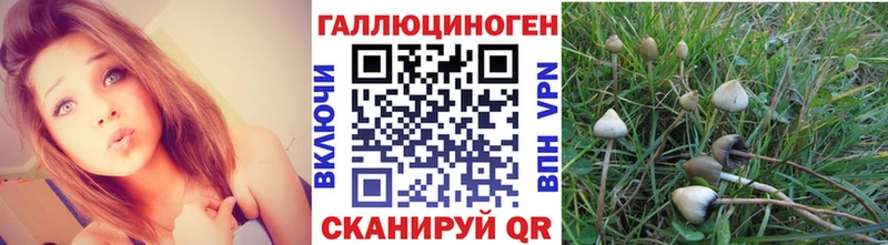 Псилоцибиновые грибы прущие грибы  ссылка на мегу рабочий сайт  Шумерля 