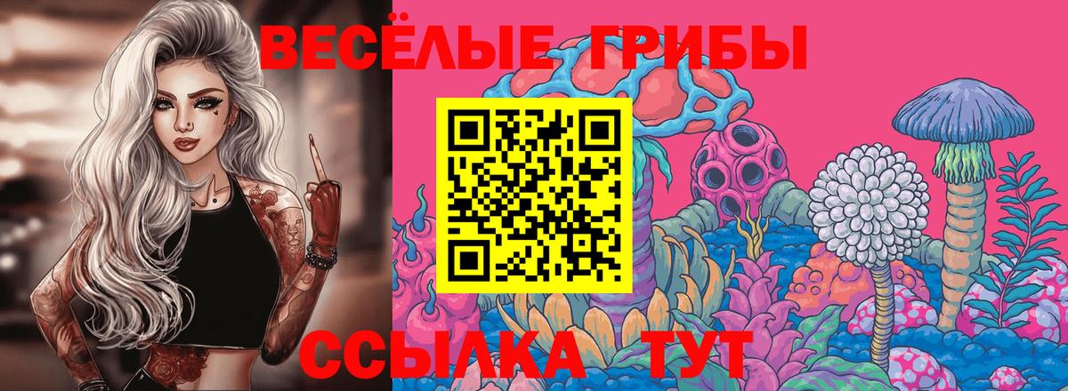 Галлюциногенные грибы Cubensis  Вход с VPN  Шумерля 