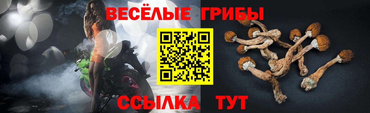 Галлюциногенные грибы MAGIC MUSHROOMS Шумерля