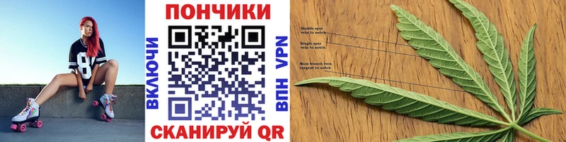 Канабис Amnesia  KRAKEN   Шумерля  хочу наркоту 